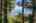 Blurred preview of media: 1-51