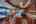 Blurred preview of media: Quality Time-5