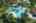 Blurred preview of media: iPixx_10_57