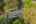 Blurred preview of media: 1-54