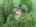 Blurred preview of media: DJI_20250806113101_0755_D