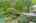 Blurred preview of media: 277 Main Street Bolton Massachusetts Job 38618 0010