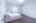 Blurred preview of media: _MG_2949