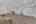 Blurred preview of media: 38