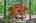 Blurred preview of media: 9x