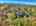 Blurred preview of media: Sky Tour-45