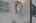 Blurred preview of media: 6V8A8776