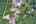 Blurred preview of media: DJI_0192_3_4_easyHDR