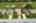Blurred preview of media: iPixx_10_11