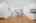 Blurred preview of media: bar_harbor_058