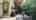 Blurred preview of media: DJI_20260814130043_0110_D_BLUE36