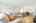 Blurred preview of media: 08