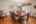 Blurred preview of media: PAX_3044