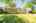 Blurred preview of media: 7 Wallis Ave, Smithville _ Nathan Ferro4