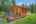 Blurred preview of media: NZ9_9562