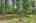 Blurred preview of media: IMG_2107_8_9_easyHDR