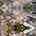 Blurred preview of media: 1015_S_San_Gabriel_Blvd_drn_003
