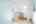 Blurred preview of media: DSC04032