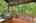 Blurred preview of media: 260141-29a