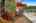 Blurred preview of media: 07