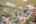 Blurred preview of media: IMG_8834_5_6