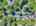 Blurred preview of media: DJI_20260923120711_0785_D_6_D_7_D_easyHDR
