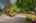 Blurred preview of media: 1-47