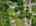 Blurred preview of media: 15-phlox-terrace-glenwood-nj-usa-drone-011