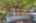 Blurred preview of media: EV0A4563
