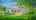 Blurred preview of media: 19625 Callaway Hills Ln-86
