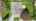 Blurred preview of media: DJI_0318