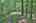 Blurred preview of media: IMG_4733_4_5_easyHDR