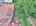 Blurred preview of media: DJI_20260625123022_0462_D_3_D_4_D_easyHDR