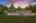 Blurred preview of media: 005