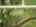 Blurred preview of media: DJI_0277