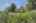 Blurred preview of media: IMG_1193