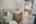Blurred preview of media: PAX_0745