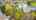 Blurred preview of media: 96