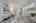 Blurred preview of media: DSC02096