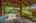 Blurred preview of media: 13