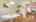 Blurred preview of media: IMG_0432