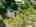 Blurred preview of media: 1-38