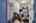 Blurred preview of media: DSC05535