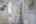 Blurred preview of media: IMG_8817