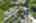 Blurred preview of media: iPixx_11_4