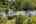 Blurred preview of media: 1-26