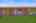 Blurred preview of media: DSC05359