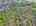 Blurred preview of media: DJI_20260505134609_0871_D_2_D_3_D_easyHDR