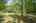 Blurred preview of media: _RKJ4263