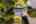 Blurred preview of media: 1-69